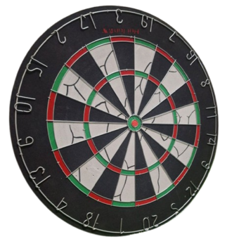 Sports Professional Dartboard - 18" Inch