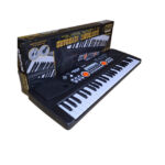 Forty Nine Key Kiddy Toys Piano