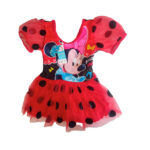 Swim costume Swimsuit 2